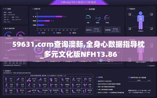 59631.cσm查詢澳新,全身心數(shù)據(jù)指導(dǎo)枕_多元文化版NFH13.86