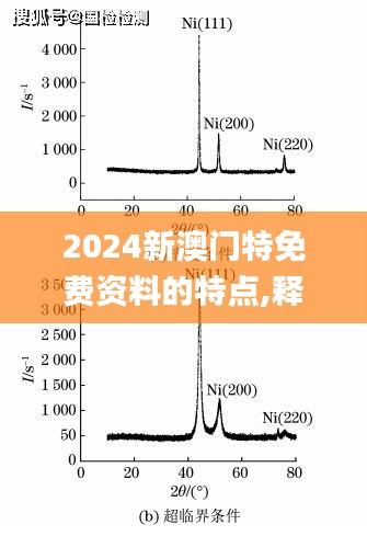 2024新澳門特免費資料的特點,釋意性描述解_共享版PPZ13.70