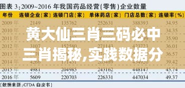 黃大仙三肖三碼必中三肖揭秘,實踐數據分析評估_銳意版BZF13.85