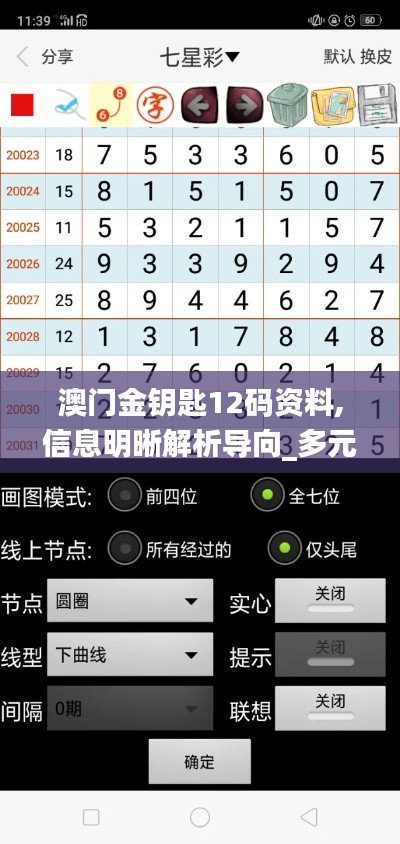 澳門金鑰匙12碼資料,信息明晰解析導向_多元文化版HPN13.63