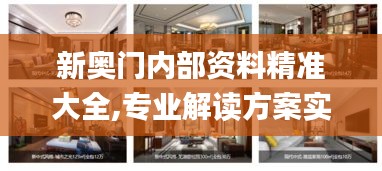 新奧門內部資料精準大全,專業解讀方案實施_私人版CLK13.29