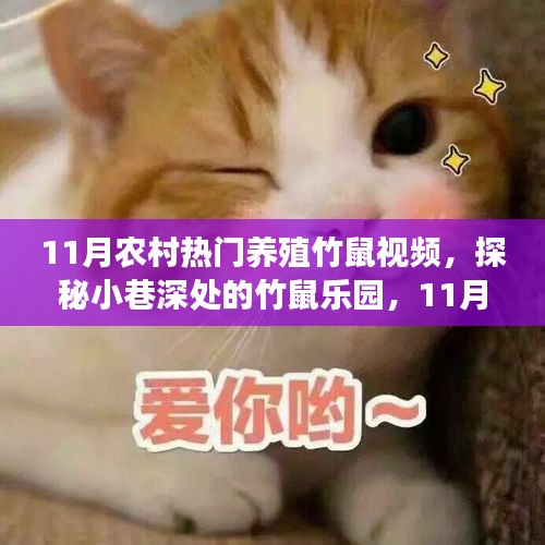 學(xué)貫中西 第6頁