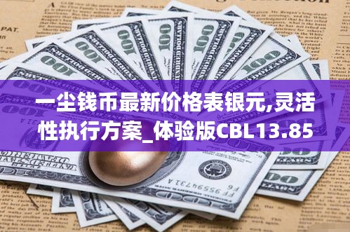 一塵錢幣最新價格表銀元,靈活性執行方案_體驗版CBL13.85