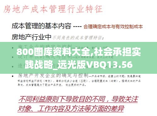 800圖庫資料大全,社會承擔實踐戰略_遠光版VBQ13.56