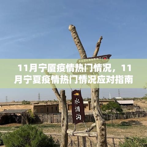 寧夏11月疫情應對指南,保護自身與社區的關鍵步驟