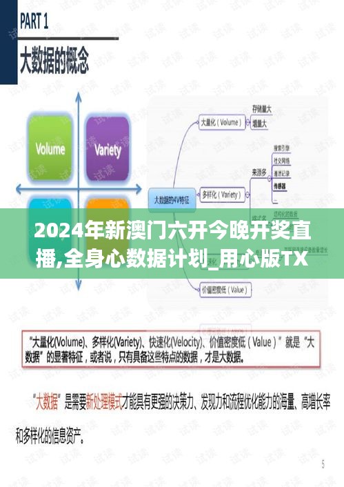 2024年新澳門六開今晚開獎直播,全身心數據計劃_用心版TXI13.85