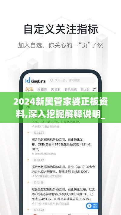 2024新奧管家婆正板資料,深入挖掘解釋說明_極速版AMB13.11