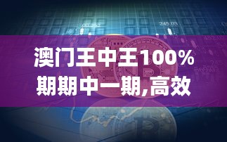 澳門王中王100%期期中一期,高效運行支持_云端版JCB13.12