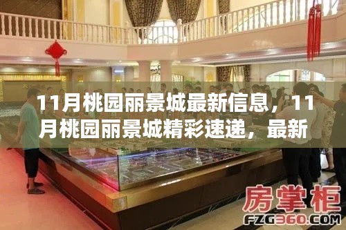 11月桃園麗景城最新動態與精彩速遞