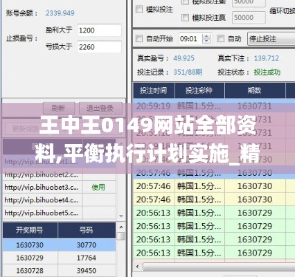 王中王0149網站全部資料,平衡執行計劃實施_精華版XFG13.80