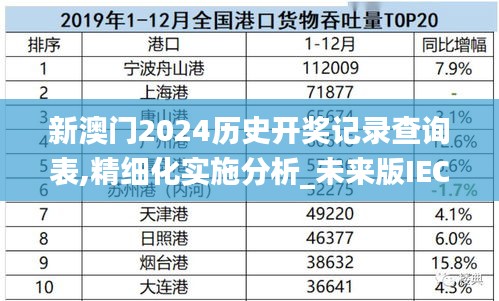 新澳門2024歷史開獎記錄查詢表,精細化實施分析_未來版IEC13.99