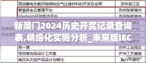 新澳門2024歷史開獎記錄查詢表,精細化實施分析_未來版IEC13.99