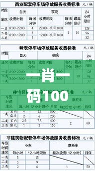 一肖一碼100%中,策略優(yōu)化計(jì)劃_快速版WZC13.83