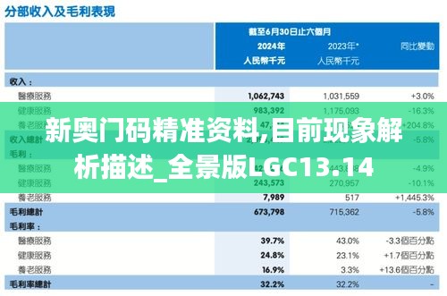 新奧門碼精準資料,目前現象解析描述_全景版LGC13.14