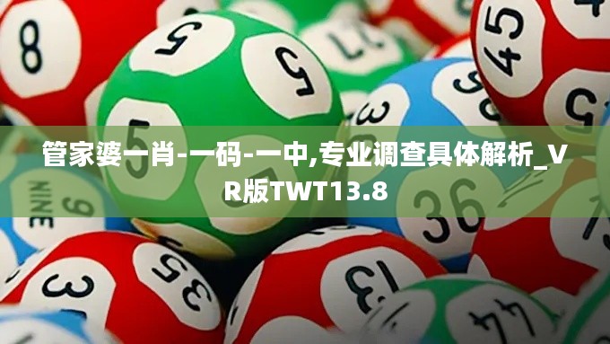 管家婆一肖-一碼-一中,專業調查具體解析_VR版TWT13.8