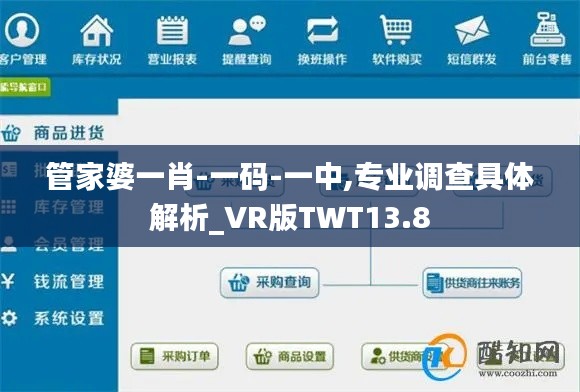 管家婆一肖-一碼-一中,專業調查具體解析_VR版TWT13.8