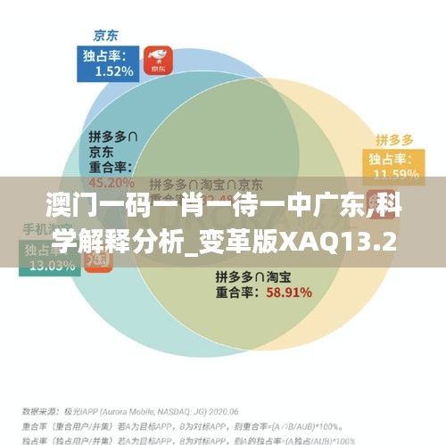 澳門一碼一肖一待一中廣東,科學解釋分析_變革版XAQ13.21