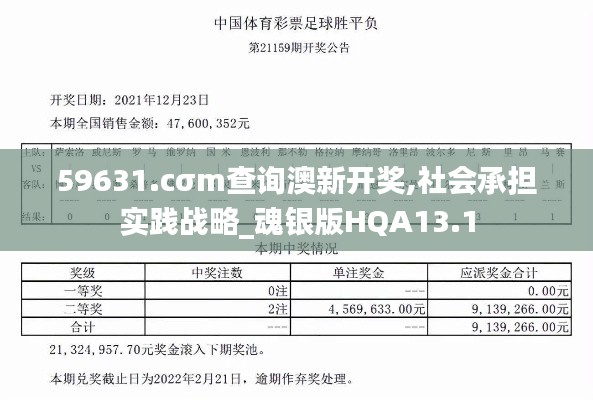 59631.cσm查詢澳新開獎,社會承擔實踐戰略_魂銀版HQA13.1