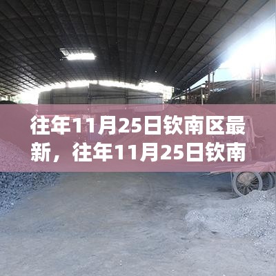 往年11月25日欽南區產品深度評測,特性、體驗、競爭對比及用戶群體分析