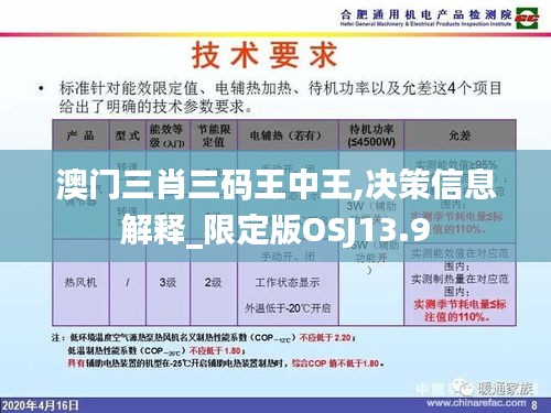 澳門三肖三碼王中王,決策信息解釋_限定版OSJ13.9