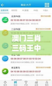 澳門三肖三碼王中王,決策信息解釋_限定版OSJ13.9