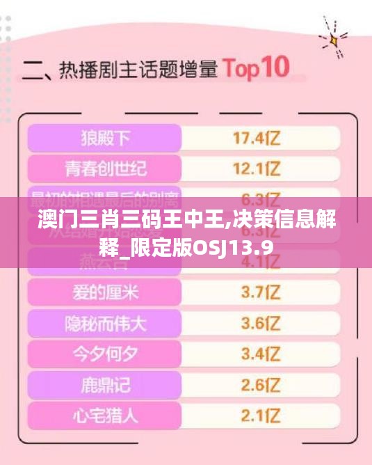 澳門三肖三碼王中王,決策信息解釋_限定版OSJ13.9