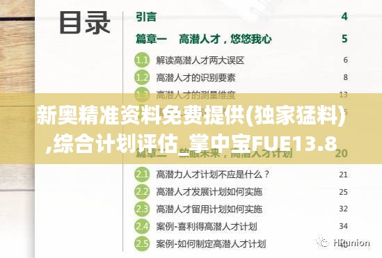 新奧精準資料免費提供(獨家猛料),綜合計劃評估_掌中寶FUE13.8