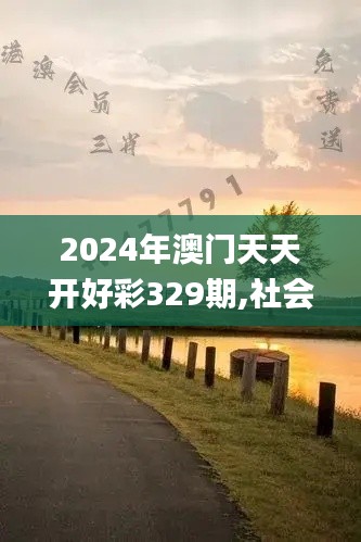 2024年澳門天天開好彩329期,社會責任實施_美學版WGY11.10