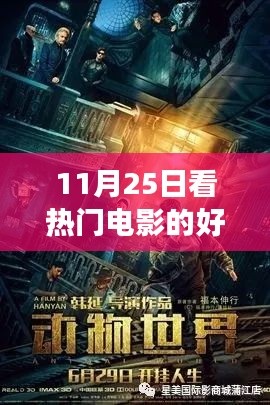 11月25日熱門電影網站之旅，光影中的成長與自信之源