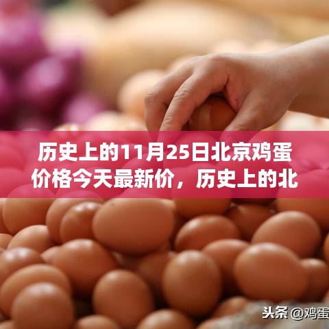 北京雞蛋價格演變與今日市場最新動態分析，歷史數據與今日市場對比報告