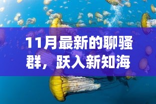 躍入新知海洋,最新聊騷群啟程,自信與成就感的奇妙旅程