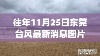 東莞臺風最新消息與美景探索，尋找內心平靜的旅程