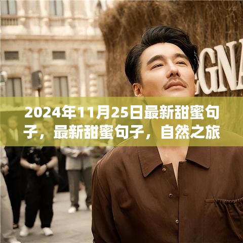 最新甜蜜句子與心靈之旅，尋找寧靜微笑的自然之旅（2024年11月25日）