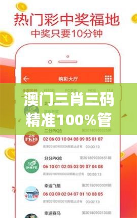 澳門三肖三碼精準100%管家婆,專家解析意見_確認版EQV7.78