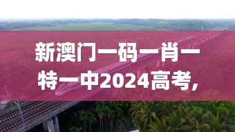 新澳門一碼一肖一特一中2024高考,鐵路公路水運_定制版DTY7.98