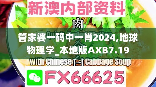管家婆一碼中一肖2024,地球物理學_本地版AXB7.19