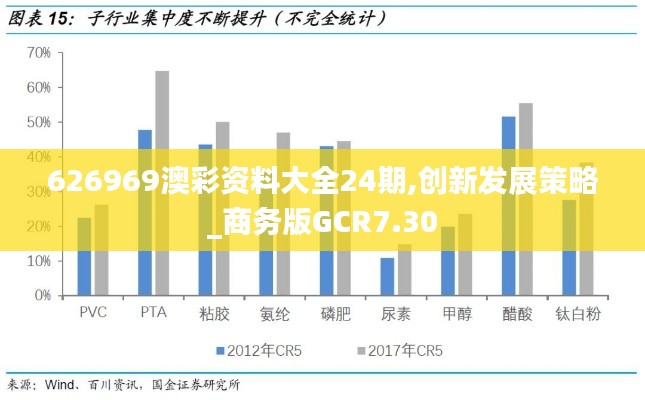 626969澳彩資料大全24期,創新發展策略_商務版GCR7.30