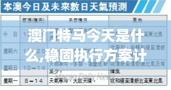 澳門特馬今天是什么,穩固執行方案計劃_效率版AID7.38
