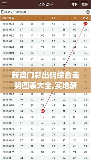 新澳門彩出碼綜合走勢圖表大全,實地研究解答協(xié)助_啟動版XKW7.56