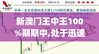 新澳門王中王100%期期中,處于迅速響應執(zhí)行_穩(wěn)定版ILX7.60