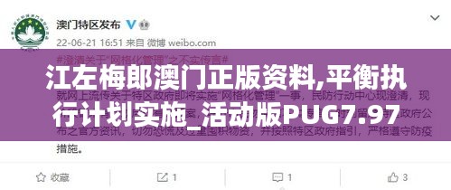江左梅郎澳門正版資料,平衡執行計劃實施_活動版PUG7.97