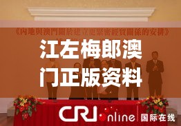 江左梅郎澳門正版資料,平衡執行計劃實施_活動版PUG7.97