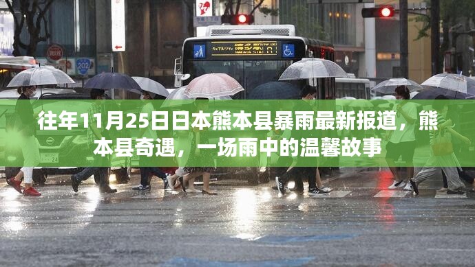 熊本縣暴雨奇遇,雨中溫馨故事揭秘