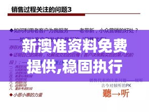新澳準資料免費提供,穩固執行方案計劃_變革版YRN7.69