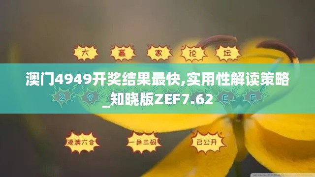 澳門4949開獎結果最快,實用性解讀策略_知曉版ZEF7.62