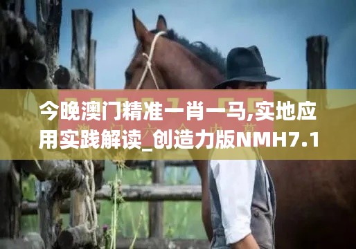 今晚澳門精準一肖一馬,實地應用實踐解讀_創造力版NMH7.1