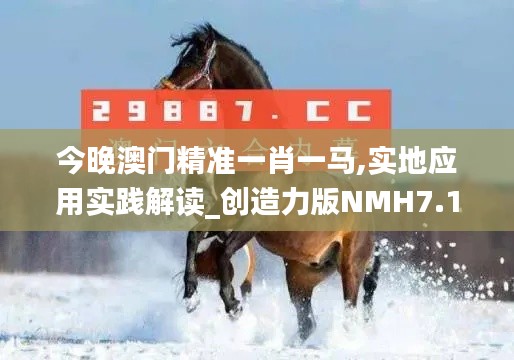 今晚澳門精準一肖一馬,實地應用實踐解讀_創造力版NMH7.1