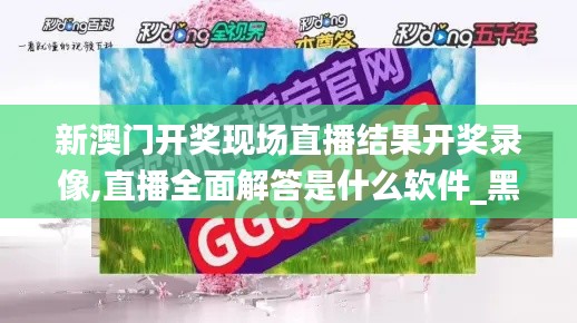 新澳門開獎現場直播結果開獎錄像,直播全面解答是什么軟件_黑科技版GQI7.77
