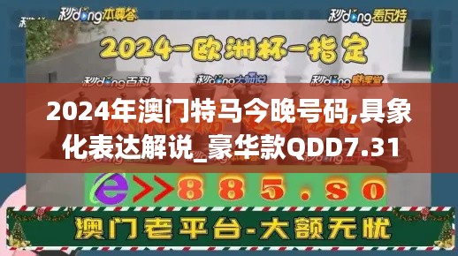 2024年澳門特馬今晚號碼,具象化表達解說_豪華款QDD7.31