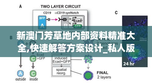 新澳門芳草地內部資料精準大全,快速解答方案設計_私人版SPS7.92